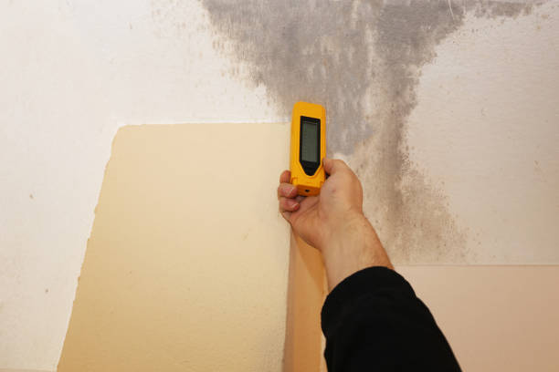 Asbestos and Lead Testing During Mold Inspection in Alva, FL
