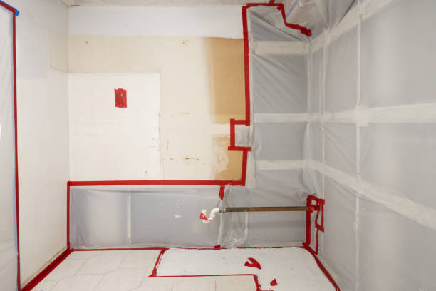 Best Basement Mold Removal  in Alva, FL