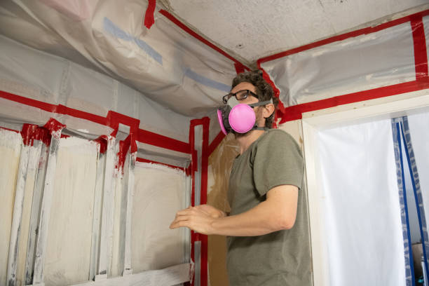 Best Mold Prevention Services  in Alva, FL