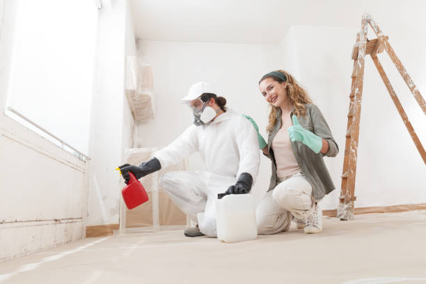 Reliable Alva, FL Mold Removal Solutions