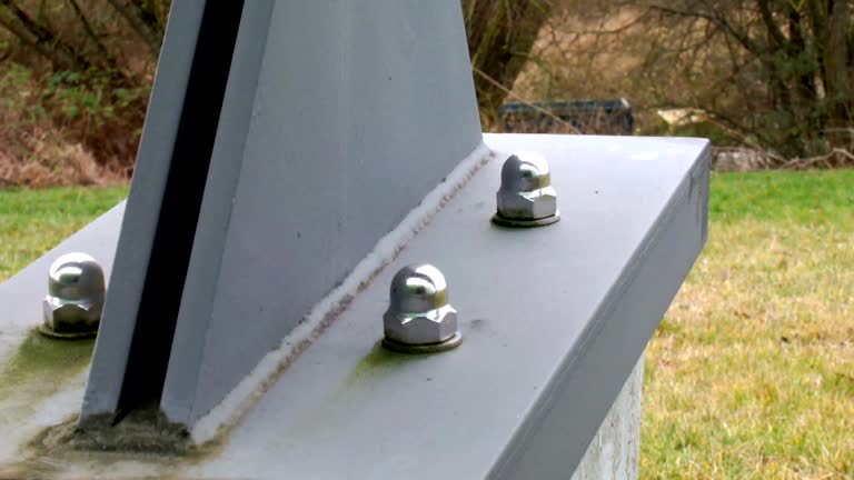 Best Mold Damage Restoration  in Alva, FL